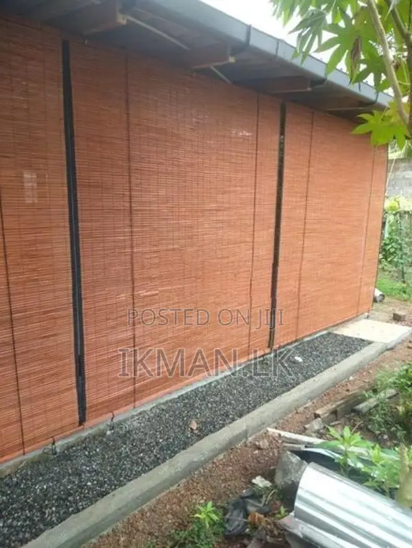 පැහැසර බට පැළලි