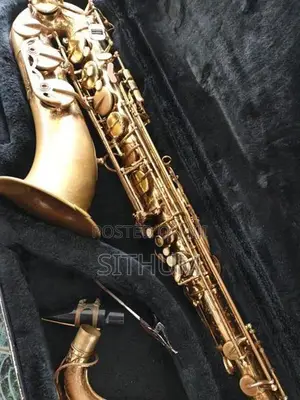 Maxtone tenor saxophone
