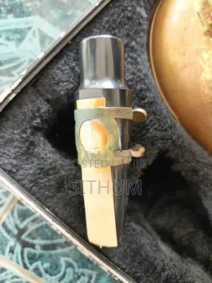 Maxtone tenor saxophone