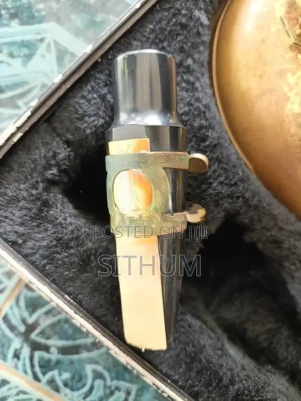 Maxtone tenor saxophone
