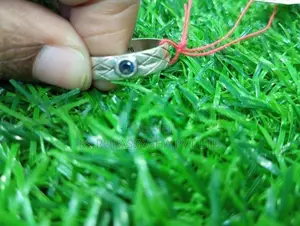 Silver Ring