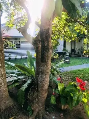 Single Storey House Sale in Negombo - With 40 Perches