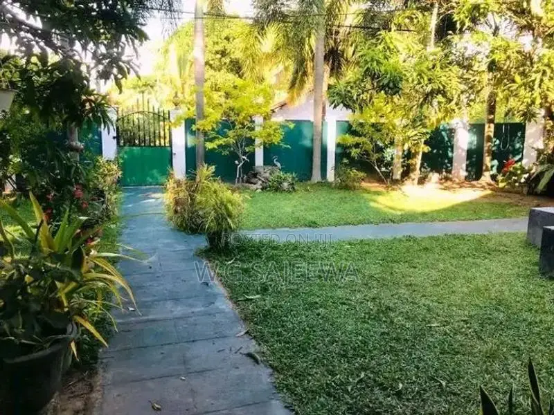 Single Storey House Sale in Negombo - With 40 Perches