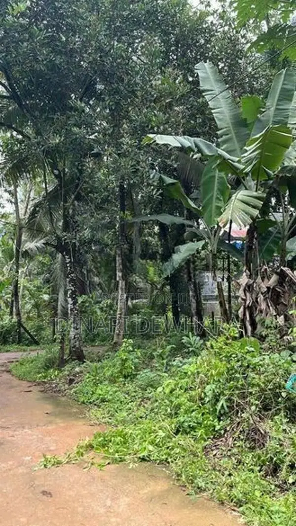 Land for Sale in Biyagama (Near to Zone)