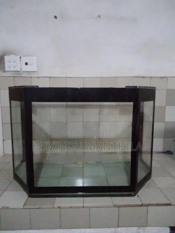 Fish Tank