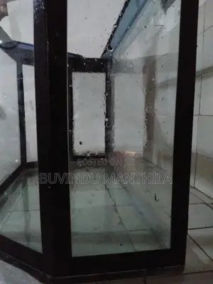 Fish Tank