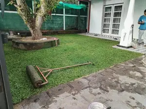 Malaysian Grass Carpet