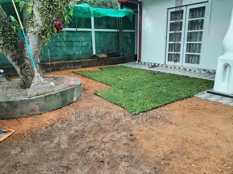 Malaysian Grass Carpet