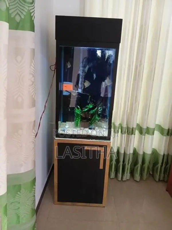 Used Box Type Fish Tank