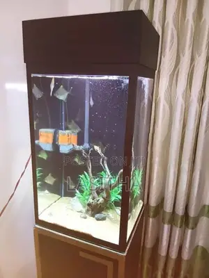 Used Box Type Fish Tank