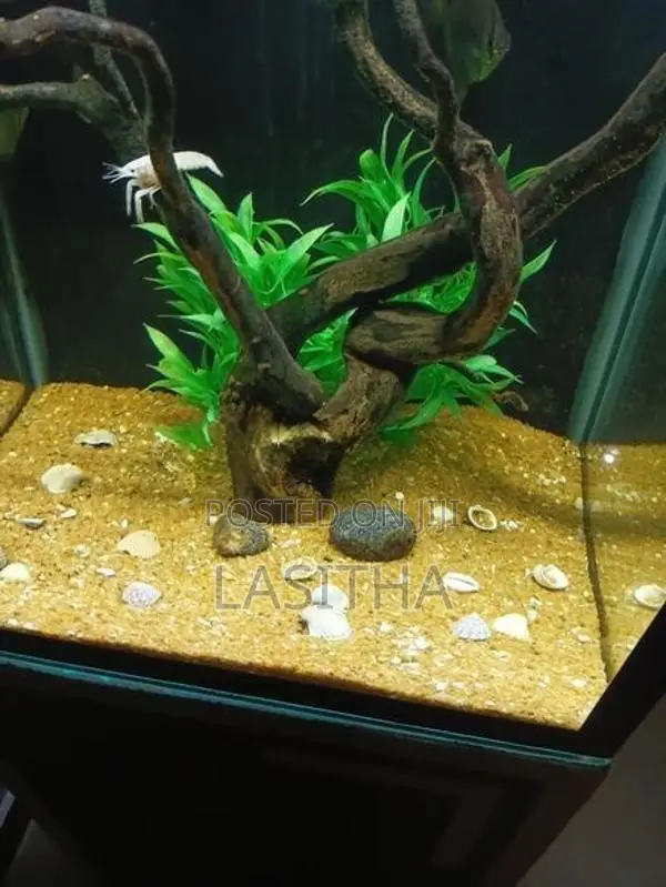 Used Box Type Fish Tank