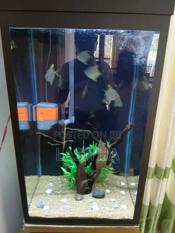 Used Box Type Fish Tank