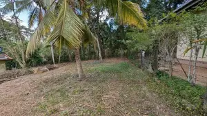 Land for sale in ganemulla