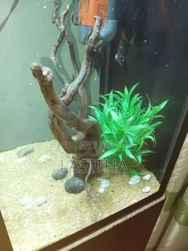 Used Box Type Fish Tank