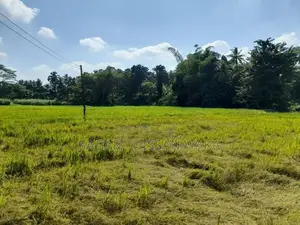 Land for Sale in Gampaha