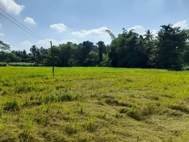 Land for Sale in Gampaha