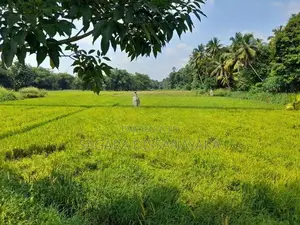 Land for Sale in Gampaha