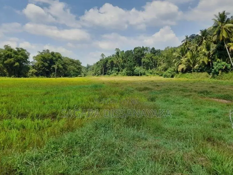 Land for Sale in Gampaha