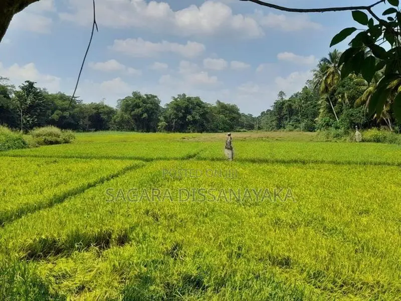 Land for Sale in Gampaha
