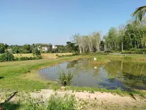 හෝමාගම නගරයට නුදුරින් බිම් කොටස් විකිණීමට