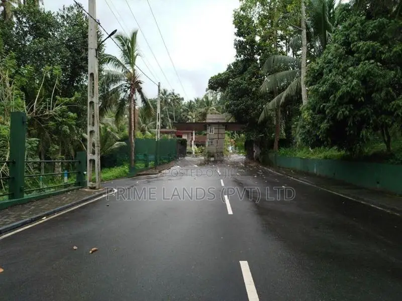 හෝමාගම නගරයට නුදුරින් බිම් කොටස් විකිණීමට
