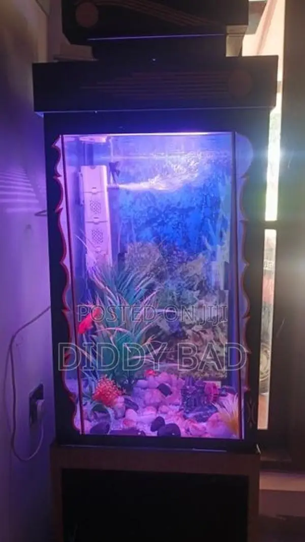 Aquarium