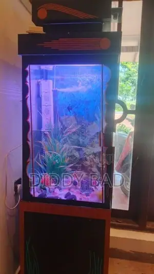 Aquarium