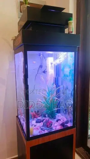 Aquarium