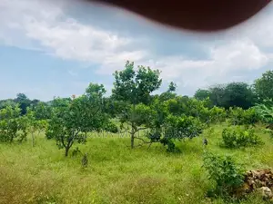 Land for Sale in katharagama