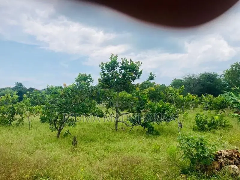 Land for Sale in katharagama
