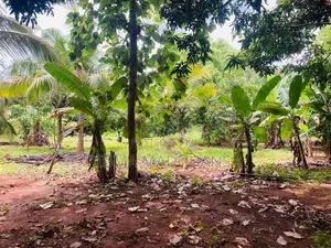 Land for Sale in katharagama