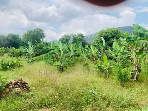 Land for Sale in katharagama