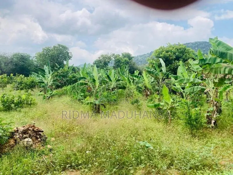 Land for Sale in katharagama