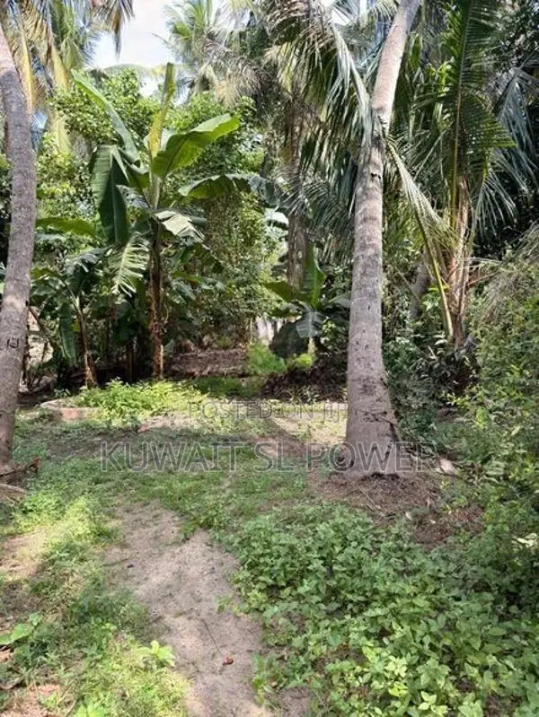 Land with House for Sale - Chilaw
