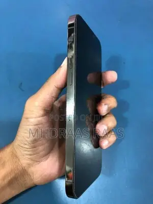 Apple iPhone 12 Pro Max (Used)