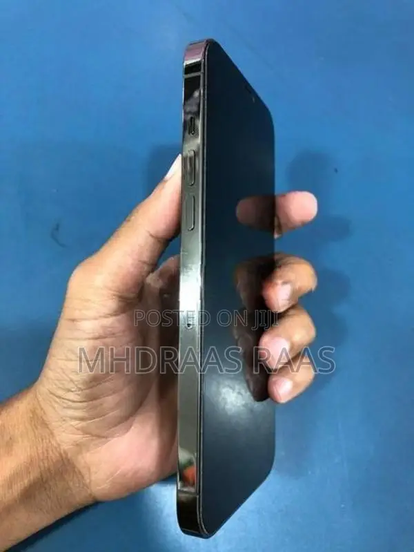 Apple iPhone 12 Pro Max (Used)