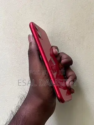 Apple iPhone 11 (Used)