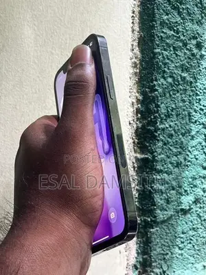 Apple iPhone 12 Pro (Used)