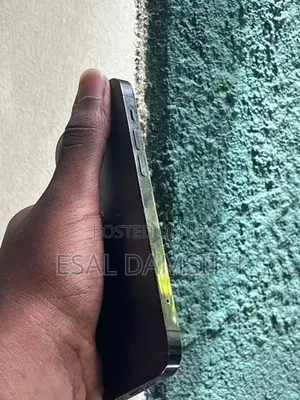 Apple iPhone 12 Pro (Used)