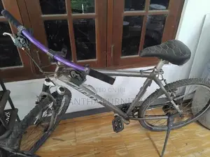 Bicycle - Giant