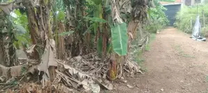 08 Perches Land For Sale in Godagama (SSPL-418)