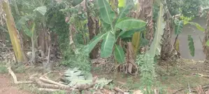 08 Perches Land For Sale in Godagama (SSPL-418)