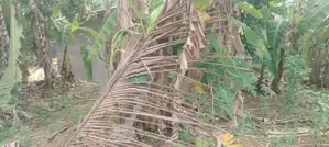 08 Perches Land For Sale in Godagama (SSPL-418)