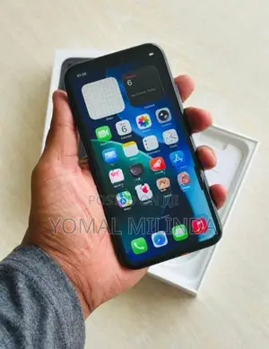 Apple iPhone 11 (Used)