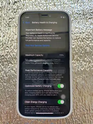 Apple iPhone 12 mini 256GB (Used)