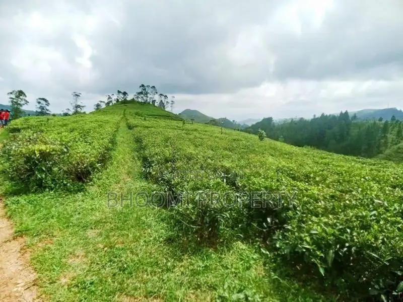 හැටන් වටවලින් ඉඩමක්