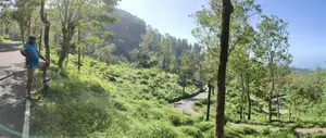 හපුතලෙන් ඉඩමක්