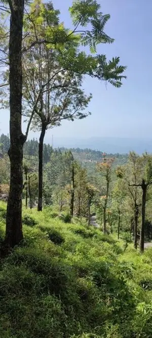 හපුතලෙන් ඉඩමක්