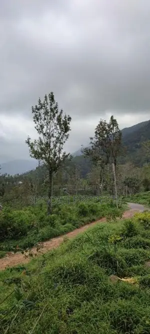 හපුතලෙන් ඉඩමක්