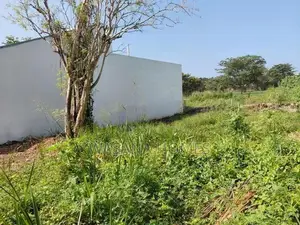Water Back Land for Sale Boralesgamuwa